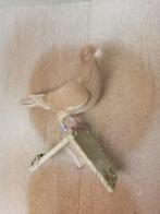 Kleurpostduif, Dieren en Toebehoren, Vogels | Duiven, Vrouwelijk, Postduif