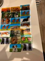 Lenticular foto kaartjes, Verzamelen, Speelgoed, Ophalen of Verzenden