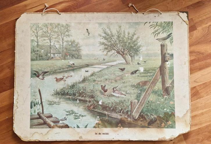 Schoolplaat "In de weide" / M.A. Koekkoek, Antiek en Kunst, Antiek | Schoolplaten, Natuur en Biologie, Ophalen
