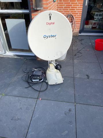Oyster 85 cm schotel  beschikbaar voor biedingen
