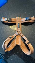Petlando Y comfort Harnesa Size M, Ophalen of Verzenden, Nieuw