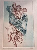 Ab Steenvoorden Kleurenets - Handgesigneerd & Genummerd, Antiek en Kunst, Kunst | Etsen en Gravures, Ophalen of Verzenden