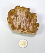 771. Mineralen - kwarts, amethist en aragoniet, Ophalen of Verzenden