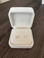 Zilveren Ster Oorknopjes, Sieraden, Tassen en Uiterlijk, Oorbellen, Ophalen of Verzenden, Nieuw, Zilver, Knopjes of Stekers