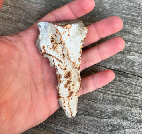 Boor Spiennes Neolithicum, Verzamelen, Mineralen en Fossielen, Overige typen, Ophalen of Verzenden