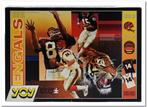 Cincinnati Bengals - YOY - 1000 stukjes, Hobby en Vrije tijd, Denksport en Puzzels, Ophalen of Verzenden, 500 t/m 1500 stukjes