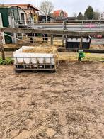 Slowfeeders, Ophalen of Verzenden, Gebruikt, Overige soorten