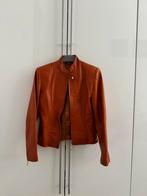 Leren / Leer Jas Bruin Cognac maat S, Ophalen, Nieuw, Maat 38/40 (M), Bruin