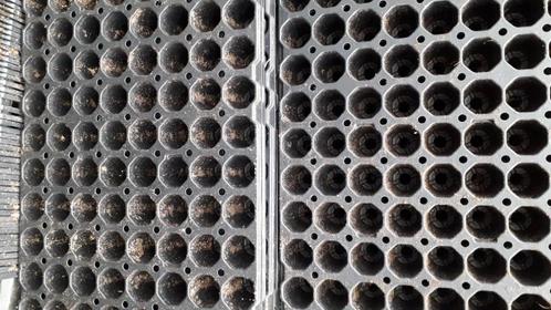 Restpartijen Stektrays / Zaaitrays zaaiplaten, Tuin en Terras, Bloempotten, Gebruikt, Kunststof, Binnen, Balkon, Tuin, Minder dan 40 cm
