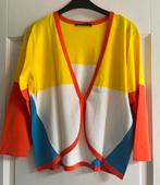 Kleurige Twinset Expresso, Overige kleuren, Expresso, Maat 42/44 (L), Ophalen of Verzenden