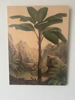 KEK Amsterdam Bananenboom Print op Hout, Ophalen, Zo goed als nieuw, Print, 50 tot 75 cm