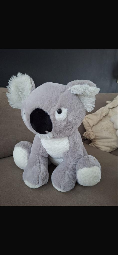 Grote Koala Knuffel - Zacht en Lief!, Ophalen, Nieuw, Overige typen