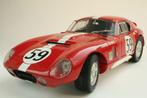 Exoto 1/18 Cobra Daytona Coupe - Le Mans 1965, Hobby en Vrije tijd, Modelauto's | 1:18, Ophalen of Verzenden, Nieuw, Auto, Overige merken