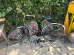 Batavus Damesfiets - Opknapper, Ophalen, Versnellingen, Batavus, 53 tot 56 cm