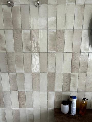 Badkamertegels Ragno Gres Porcellanato (6x24cm) beschikbaar voor biedingen