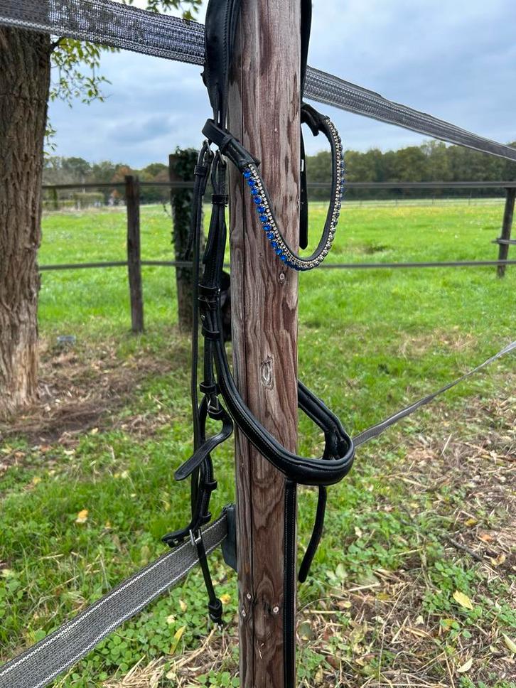 Schöckemohle hoofdstel maat full, Dieren en Toebehoren, Paarden en Pony's | Hoofdstellen en Tuigage, Zo goed als nieuw, Dressuur