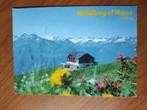 Ansichtkaart Oostenrijk Wildkogel Haus Neukirchen 20525, Ophalen of Verzenden, Oostenrijk