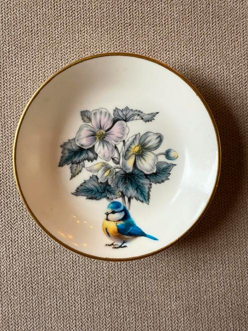Vintage Royal Worcester porseleinen bordje pimpelmeesje, Antiek en Kunst, Antiek | Wandborden en Tegels, Ophalen of Verzenden