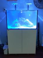 REDSEA 300 ZOUT AQUARIUM  incl techniek, Dieren en Toebehoren, Vissen | Aquaria en Toebehoren, Ophalen, Zo goed als nieuw, Gevuld zeewateraquarium