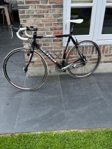 Sensa romagna framemaat 58 beschikbaar voor biedingen