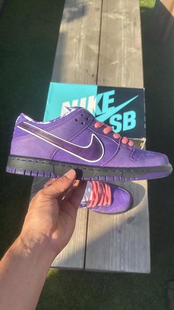 Nike SB “Purple Lobster” EU41 US8 beschikbaar voor biedingen
