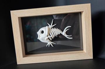 Pokemon magikarp 3D skelet in lijst met bruine rand beschikbaar voor biedingen