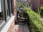 Olijfboom wijnvat, Tuin en Terras, Bloembakken en Plantenbakken, Ophalen, Minder dan 60 cm, Rond, Zo goed als nieuw