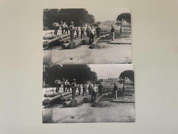 D728 Oude foto Deventer : Houthakkers op de Worp ? beschikbaar voor biedingen