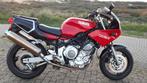 yamaha TRX850 TRX850, Bedrijf, 996 cc