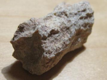 min. 3x ruwe edelsteen VERSTEEND HOUT (5)  beschikbaar voor biedingen