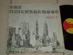 LP The Neighborhood - Debut , made in USA, Verzenden, Gebruikt, Poprock