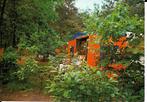 Ansichtkaart	Bosschenhoofd	De Wildert	Camping, Verzenden, 1960 tot 1980, Gelopen, Noord-Brabant
