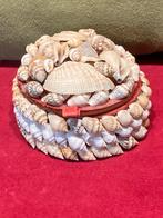 Dekseldoosje schelp (180425c), Antiek en Kunst, Curiosa en Brocante, Ophalen of Verzenden