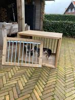 Binq design honden bench van steigerhout, Boeken, Ophalen of Verzenden