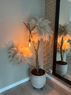 Pampas boom, Ophalen, Binnen, Zevenhuizen, Lvkvazen