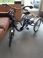 Van Raam 3 wieler fiets, Fietsen en Brommers, Gebruikt, Ophalen