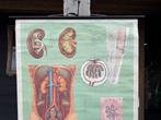 Vintage schoolplaat anatomie “Das Harnsystem” 1958, Antiek en Kunst, Antiek | Schoolplaten, Ophalen of Verzenden, Natuur en Biologie