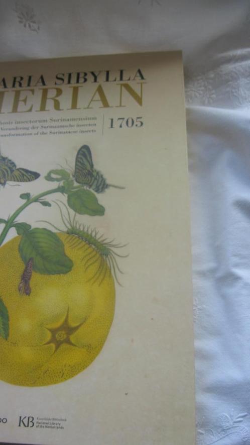 Maria Sibylla Merian 1647-1717, Boeken, Kunst en Cultuur | Beeldend, Zo goed als nieuw, Schilder- en Tekenkunst, Verzenden