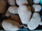 Biologische aardappelen groot, voor poffen of friet, ras Alo, Diversen, Ophalen