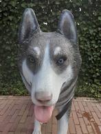 Siberische Husky van kunststof, Ophalen