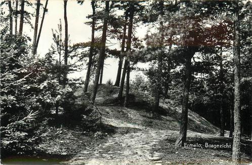(387-246-041) Ermelo Bosgezicht, Verzamelen, Ansichtkaarten | Nederland, Gelderland, Verzenden