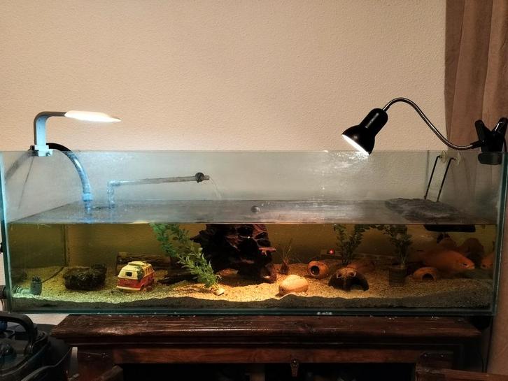 Aquarium 40x120x40cm inclusief verwarming, filter, lamp, Dieren en Toebehoren, Vissen | Aquaria en Toebehoren, Leeg aquarium, Ophalen of Verzenden