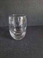 Bierglas Cerveza Especial Estrella Dorada Damm, Ophalen of Verzenden, Zo goed als nieuw, Glas of Glazen, Overige merken