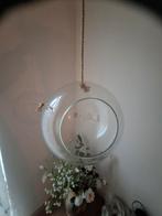 Glazen Bol Terrarium/Vaas - Hangend/ 10 STUKS, Huis en Inrichting, Ophalen, Overige kleuren, Nieuw, Glas