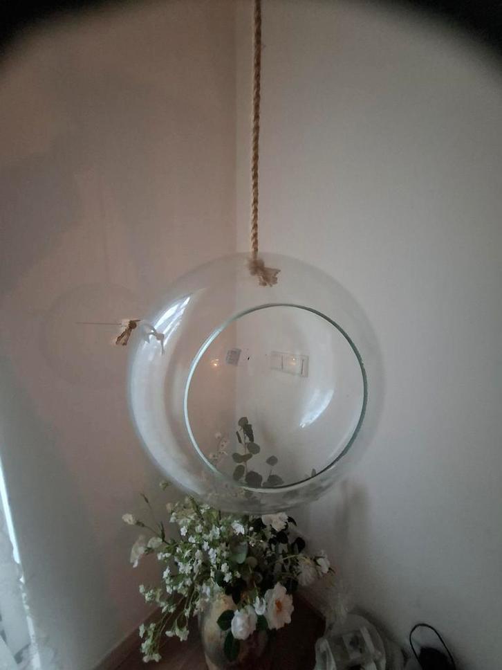 Glazen Bol Terrarium/Vaas - Hangend/ 10 STUKS, Huis en Inrichting, Woonaccessoires | Vazen, Nieuw, Overige kleuren, Minder dan 50 cm