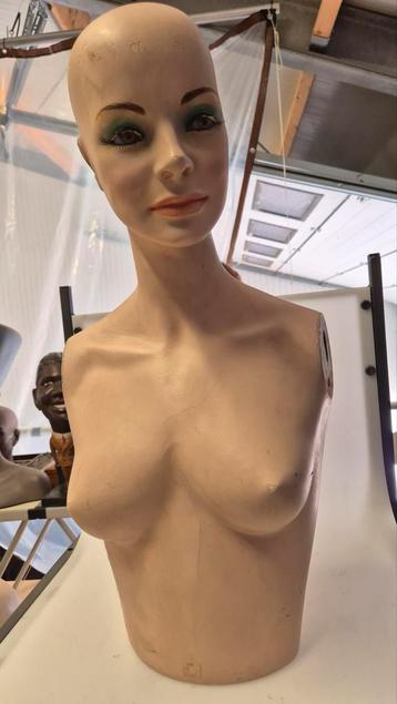 vintage torso paspop mannequin beschikbaar voor biedingen