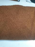 Dunne teddy camel stretch (B)