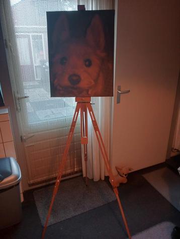 Schilders ezel hout beschikbaar voor biedingen