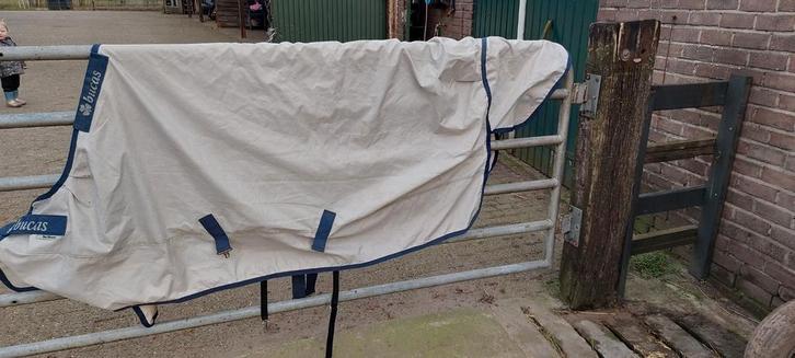 Bucas deken, Dieren en Toebehoren, Paarden en Pony's | Dekens en Dekjes, Ophalen of Verzenden