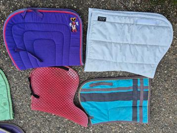 Pony dekjes (witte verkocht) beschikbaar voor biedingen